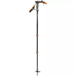Pole Whippet grey/black/orange